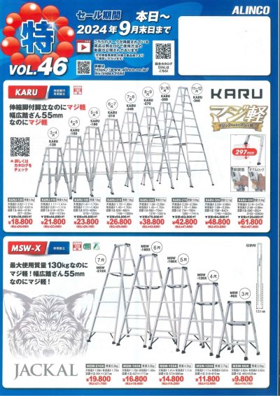 画像2: SXW-D　2連はしご　セール品　アルインコ